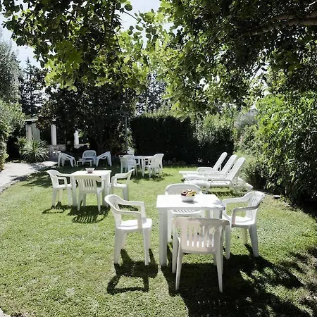 Hotel Aurea 3*